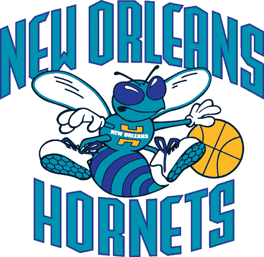 NBA, gli Hornets cambiano nome in New Orleans Pelicans?