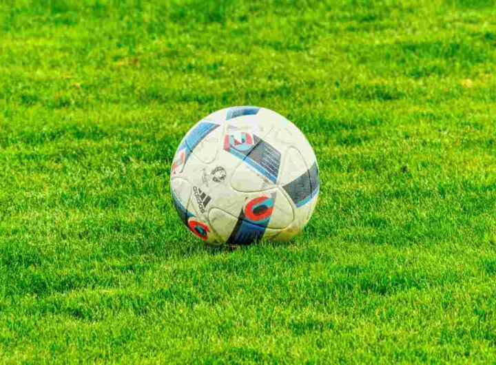Pallone da calcio