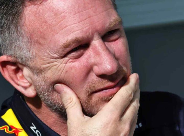 Horner in F1